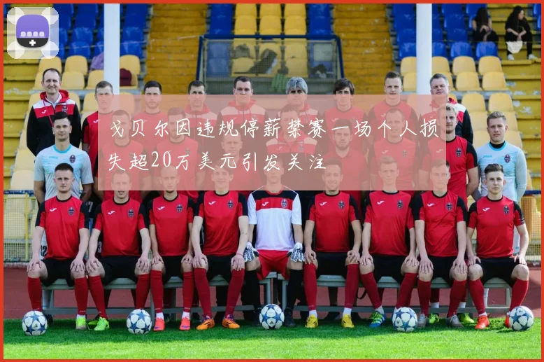 戈贝尔因违规停薪禁赛一场个人损失超20万美元引发关注